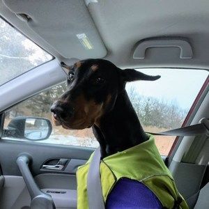 Meet your Posher, Annette